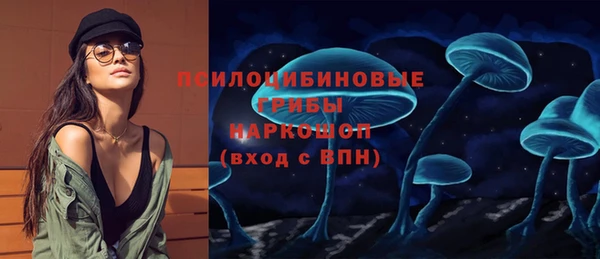 ГАЛЛЮЦИНОГЕННЫЕ ГРИБЫ Балабаново
