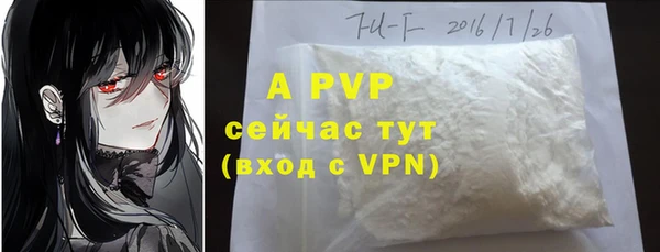 крисы Баксан
