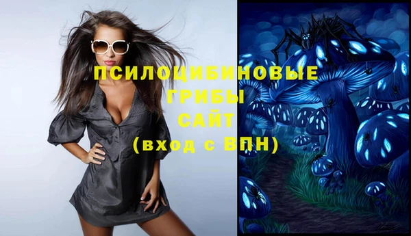 ГАЛЛЮЦИНОГЕННЫЕ ГРИБЫ Балабаново