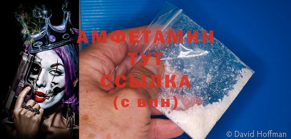 крисы Баксан