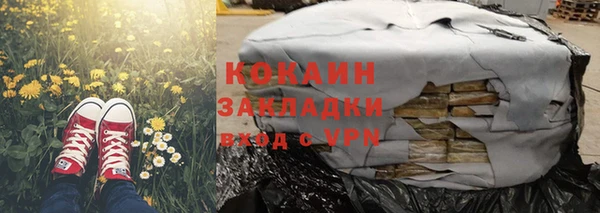 крисы Баксан