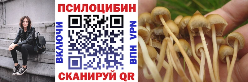 Псилоцибиновые грибы Magic Shrooms  OMG tor  Нововоронеж 