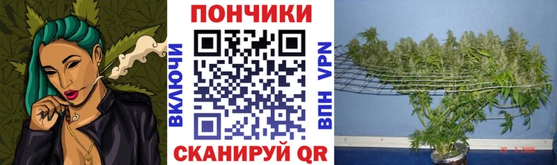 ссылка на мегу сайт  Нововоронеж  Каннабис AK-47  купить наркоту 